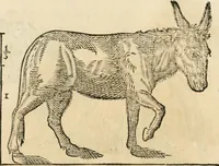 An illustration from Varia commensuracion para la escultura y arquitectura (1795)