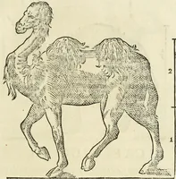Picture 148 of 219 from Varia commensuracion para la escultura y arquitectura (1795), leaf 218