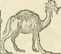 Picture 149 of 219 from Varia commensuracion para la escultura y arquitectura (1795), leaf 219