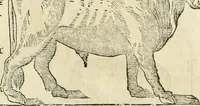 An illustration from Varia commensuracion para la escultura y arquitectura (1795)