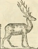 An illustration from Varia commensuracion para la escultura y arquitectura (1795)
