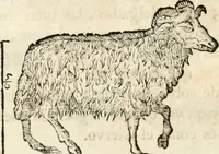An illustration from Varia commensuracion para la escultura y arquitectura (1795)