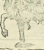 Picture 153 of 219 from Varia commensuracion para la escultura y arquitectura (1795), leaf 222