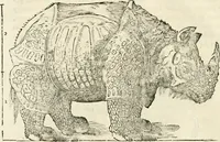 Picture 154 of 219 from Varia commensuracion para la escultura y arquitectura (1795), leaf 223