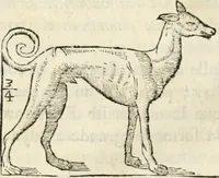 Picture 155 of 219 from Varia commensuracion para la escultura y arquitectura (1795), leaf 223
