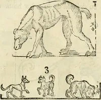 Picture 156 of 219 from Varia commensuracion para la escultura y arquitectura (1795), leaf 224