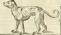 Picture 158 of 219 from Varia commensuracion para la escultura y arquitectura (1795), leaf 225