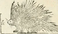 Picture 159 of 219 from Varia commensuracion para la escultura y arquitectura (1795), leaf 225