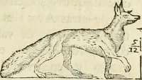 An illustration from Varia commensuracion para la escultura y arquitectura (1795)