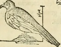 An illustration from Varia commensuracion para la escultura y arquitectura (1795)