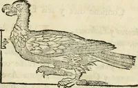 Picture 163 of 219 from Varia commensuracion para la escultura y arquitectura (1795), leaf 228