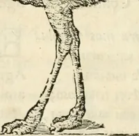 An illustration from Varia commensuracion para la escultura y arquitectura (1795)
