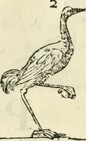 Picture 166 of 219 from Varia commensuracion para la escultura y arquitectura (1795), leaf 232