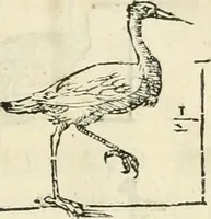 An illustration from Varia commensuracion para la escultura y arquitectura (1795)