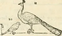 An illustration from Varia commensuracion para la escultura y arquitectura (1795)