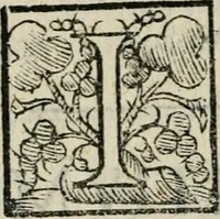 An illustration from Variae lectiones et opvscvla quorum nomina post epistolam (1594)
