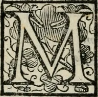 An illustration from Variae lectiones et opvscvla quorum nomina post epistolam (1594)