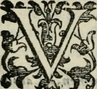 An illustration from Variae lectiones et opvscvla quorum nomina post epistolam (1594)