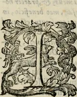 An illustration from Variae lectiones et opvscvla quorum nomina post epistolam (1594)
