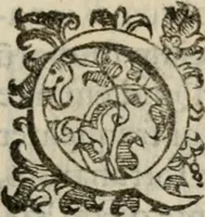 An illustration from Variae lectiones et opvscvla quorum nomina post epistolam (1594)
