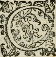 An illustration from Variae lectiones et opvscvla quorum nomina post epistolam (1594)