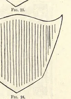 An illustration from Varied occupations in weaving (1901)