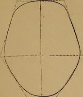 Picture 4 of 48 from The varieties of the human species: principles and method of classification (1894), leaf 32