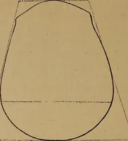 An illustration from The varieties of the human species: principles and method of classification (1894)