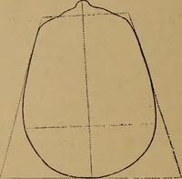 An illustration from The varieties of the human species: principles and method of classification (1894)