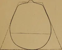 An illustration from The varieties of the human species: principles and method of classification (1894)