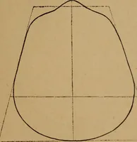 An illustration from The varieties of the human species: principles and method of classification (1894)
