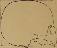 Picture 11 of 48 from The varieties of the human species: principles and method of classification (1894), leaf 37