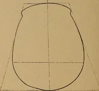 An illustration from The varieties of the human species: principles and method of classification (1894)