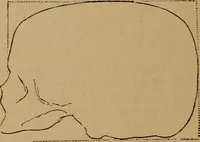 An illustration from The varieties of the human species: principles and method of classification (1894)