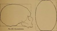 An illustration from The varieties of the human species: principles and method of classification (1894)
