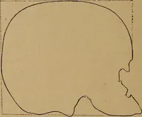 An illustration from The varieties of the human species: principles and method of classification (1894)