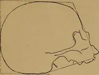 An illustration from The varieties of the human species: principles and method of classification (1894)