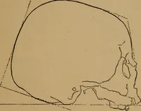 An illustration from The varieties of the human species: principles and method of classification (1894)