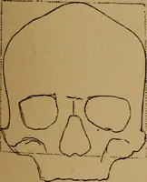 An illustration from The varieties of the human species: principles and method of classification (1894)