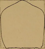 An illustration from The varieties of the human species: principles and method of classification (1894)