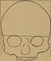 An illustration from The varieties of the human species: principles and method of classification (1894)