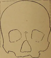 An illustration from The varieties of the human species: principles and method of classification (1894)