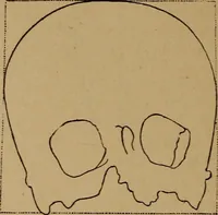 An illustration from The varieties of the human species: principles and method of classification (1894)