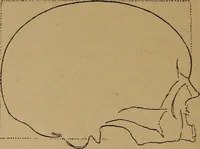 An illustration from The varieties of the human species: principles and method of classification (1894)
