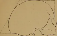 An illustration from The varieties of the human species: principles and method of classification (1894)