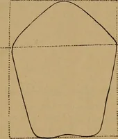 An illustration from The varieties of the human species: principles and method of classification (1894)