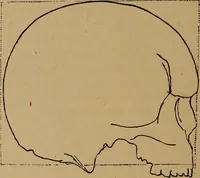 An illustration from The varieties of the human species: principles and method of classification (1894)
