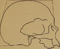 An illustration from The varieties of the human species: principles and method of classification (1894)