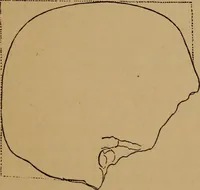 An illustration from The varieties of the human species: principles and method of classification (1894)