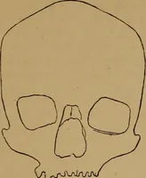 An illustration from The varieties of the human species: principles and method of classification (1894)